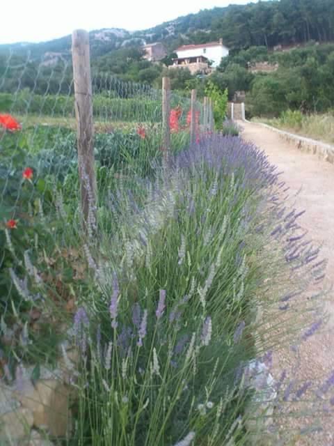 Villa Mora Banjol Chambre photo
