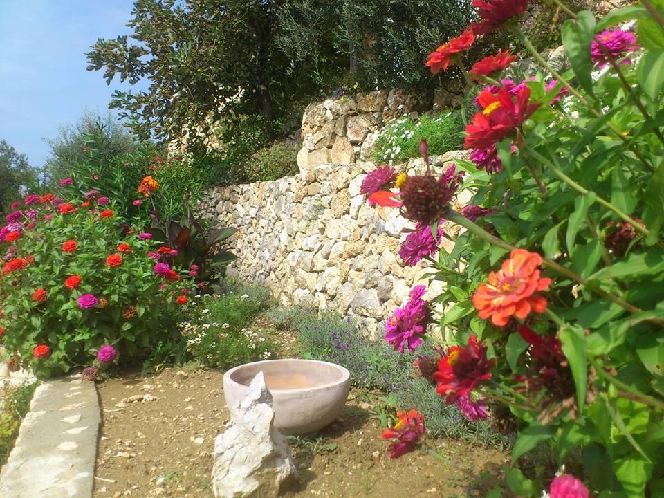 Villa Mora Banjol Extérieur photo